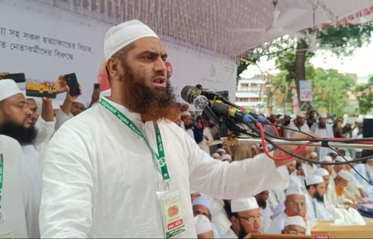 দেশের মানুষ দিল্লির দাসত্ব থেকে মুক্ত হয়েছে ওয়াশিংটনের গোলামী করতে নয়-মামুনুল হক