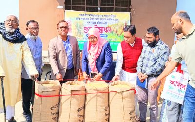 আখাউড়ায় আমন ধান সংগ্রহ কার্যক্রমের উদ্বোধন