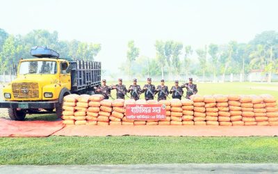 বিজয়নগরে বিজিবির অভিযানে ৩ হাজার কেজি ভারতীয় জিরা জব্দ