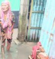 নাজুক ড্রেনেজ ব্যবস্থা, আখাউড়া পৌরশহরে জলাবদ্ধতায় ভোগান্তিতে