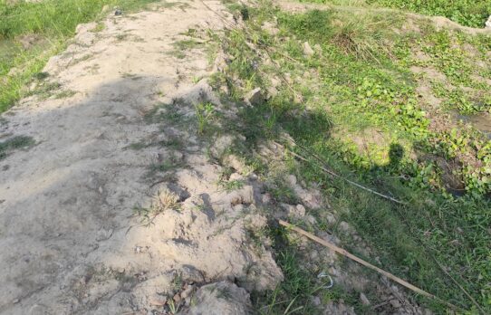 আখাউড়ায় প্রবাসীর জায়গায় গাছের চারা কেটে ফেলার অভিযোগ